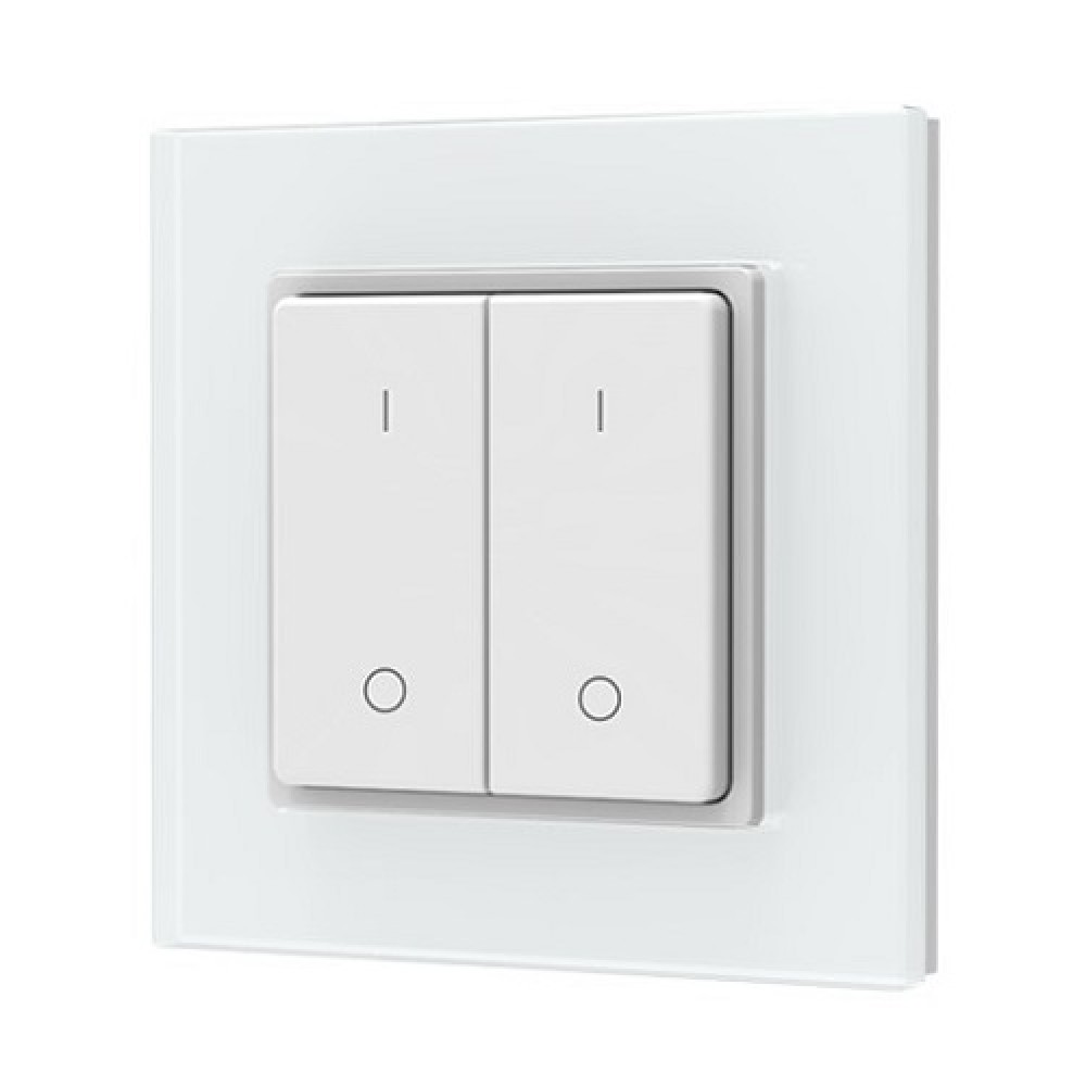 PF1-2(G) RF Remote Control, Single Color, 2 Zones